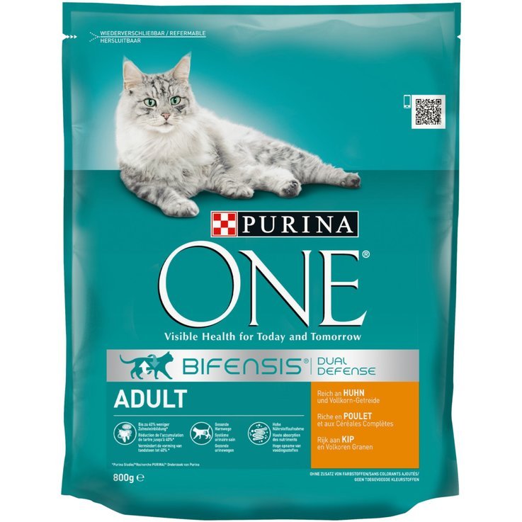 Purina One Chicken & Cereal Dry Adult Cat Food
