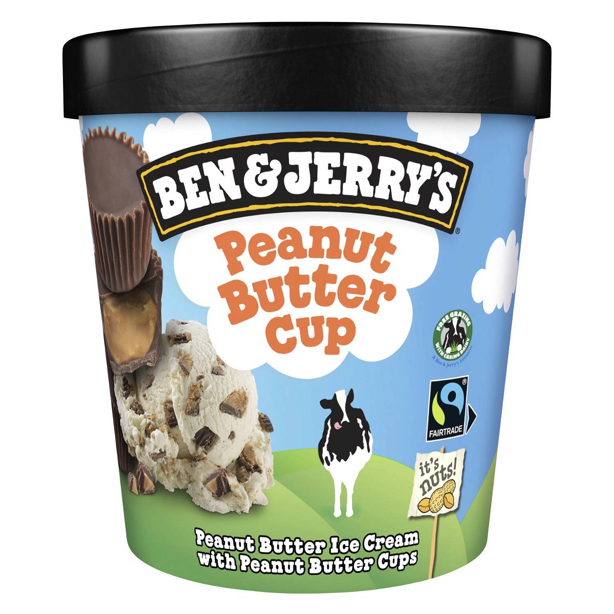 Ben&Jerry's Glace Peanut Butter Cup 